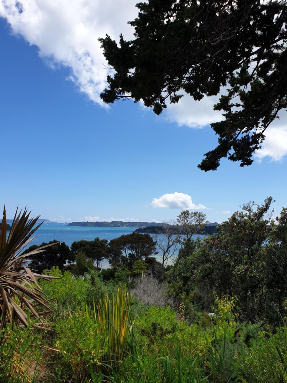 The Retreat Holiday House Paihia Esterno foto